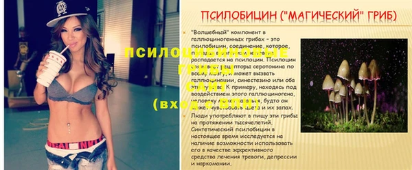 шишки Алзамай
