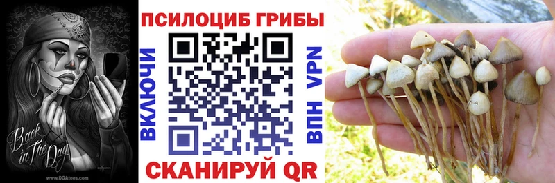Псилоцибиновые грибы Cubensis Пролетарск