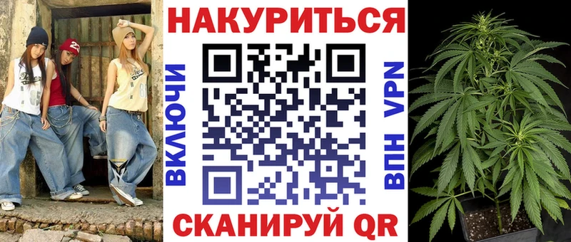 как найти наркотики  Пролетарск  omg tor  МАРИХУАНА сатива 
